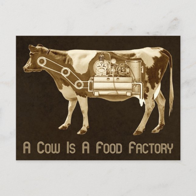 Carte Postale Une Vache Est Une Usine De Nourriture - Plus De La (Devant)