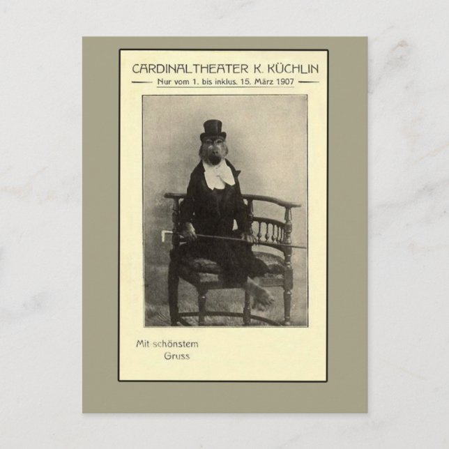 Carte Postale Une véritable oddité - Un singe en costume (Devant)