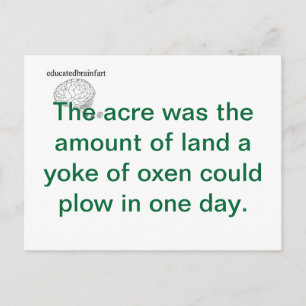 Carte Postale Une vérité