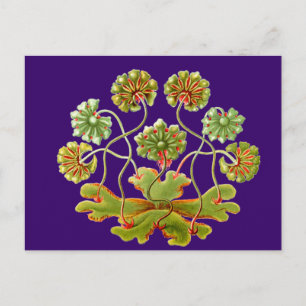 Carte Postale Une verrat