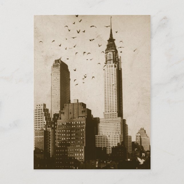 Carte Postale Une volée de voler d'oiseaux (Devant)