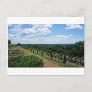 Carte Postale Une vue de Monticello