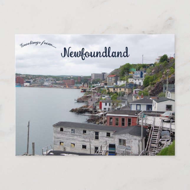 Carte Postale Une vue de St. John's, Terre-Neuve, Canada (Devant)