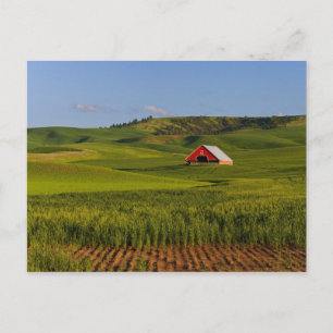 Carte Postale Une vue panoramique d'une grange à Moscou Idaho.