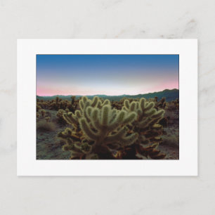 Carte Postale "Une vue pointue "