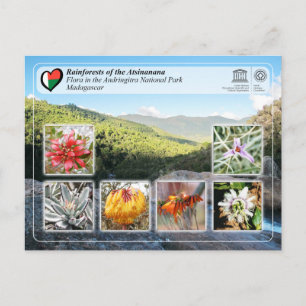 Carte Postale UNESCO - Atsinanana - Parc national Andringitra