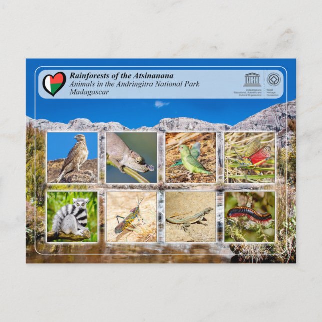 Carte Postale UNESCO - Atsinanana - Parc national Andringitra Po (Devant)