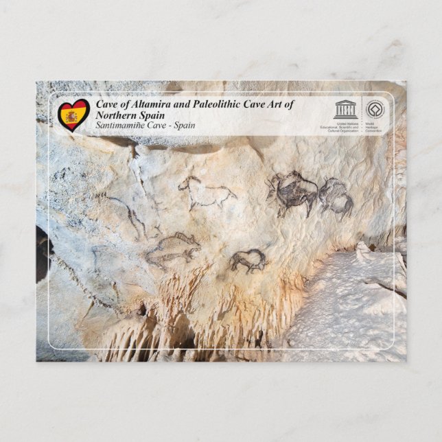 Carte Postale UNESCO -  Grotte de Santimamiñe / Cueva de Santima (Devant)