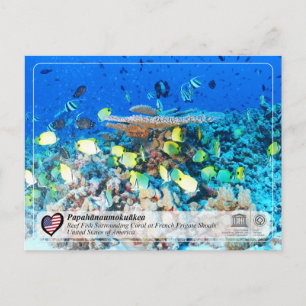 Carte Postale UNESCO - Papahānaumokuākea - Chaussures de la frég