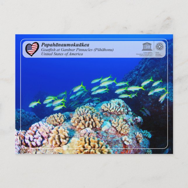 Carte Postale UNESCO - Papahānaumokuākea - Pinnacles de jardin (Devant)