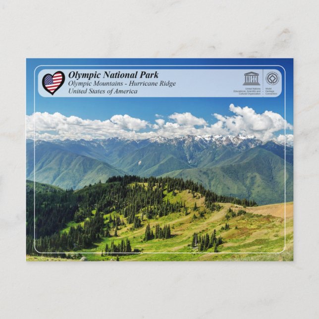 Carte Postale UNESCO - Parc national olympique - Hurricane Ridge (Devant)