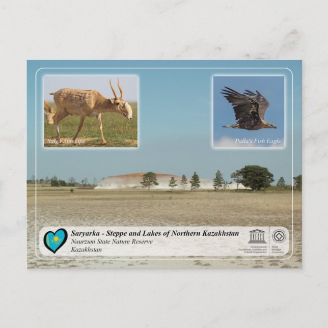 Carte Postale UNESCO - Saryarka - Réserve naturelle d'État de Na (Devant)