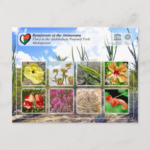 Carte Postale UNESCO WHS - Atsinanana - Parc national d'Andohahe