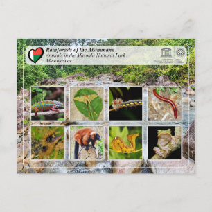 Carte Postale UNESCO WHS - Atsinanana - Parc national de Masoala