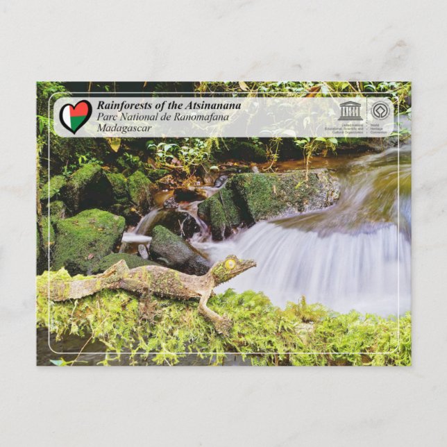 Carte Postale UNESCO WHS - Atsinanana - Parc national de Ranomaf (Devant)