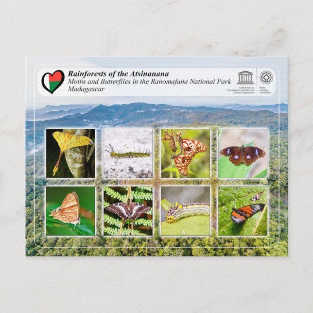 Carte Postale UNESCO WHS - Atsinanana - Ranomafana National Park (Devant)