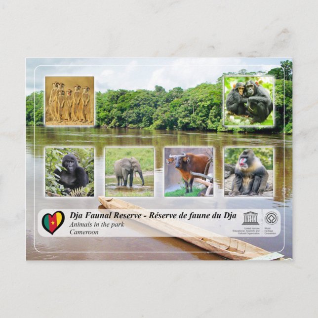 Carte Postale UNESCO WHS - Dja Faunal Reserve (Devant)