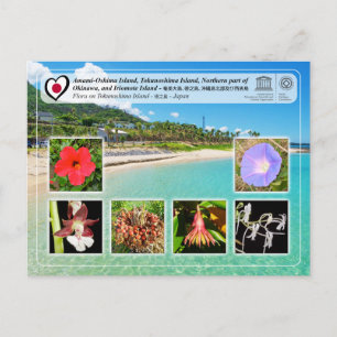 Carte Postale UNESCO WHS - Île de Tokunoshima - 徳之島 - Flore