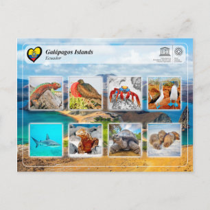 Carte Postale UNESCO WHS - Îles Galápagos
