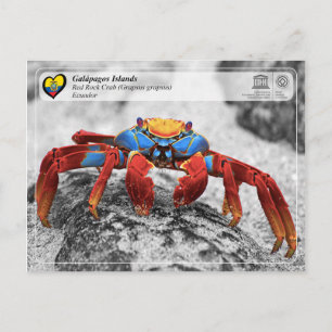 Carte Postale UNESCO WHS - Îles Galápagos - Crabe de Rocher Roug