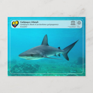 Carte Postale UNESCO WHS - Îles Galápagos - Galapagos Requin