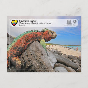 Carte Postale UNESCO WHS - Îles Galápagos - Marine Iguana