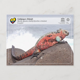 Carte Postale UNESCO WHS - Îles Galápagos - Marine Iguana
