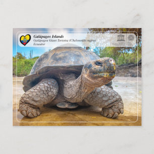 Carte Postale UNESCO WHS - Îles Galápagos - Tortue géante
