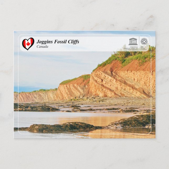 Carte Postale UNESCO WHS - Joggins Falaises Fossiles (Devant)