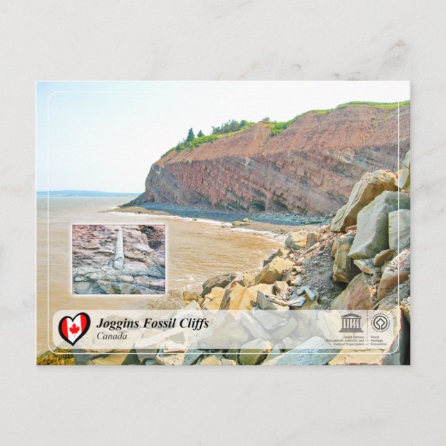 Carte Postale UNESCO WHS - Joggins Falaises Fossiles (Devant)