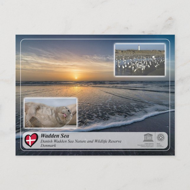 Carte Postale UNESCO WHS - Mer des Voies Danoises (Devant)