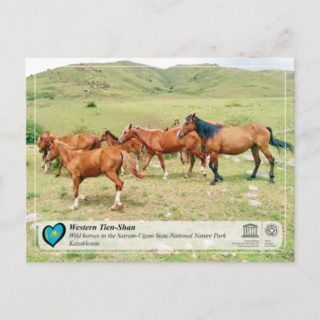 Carte Postale UNESCO WHS - Ouest Tien-Shan - Sairam-Ugam (Devant)