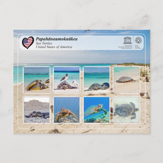 Carte Postale UNESCO WHS - Papahānaumokuākea - Tortues de mer (Devant)