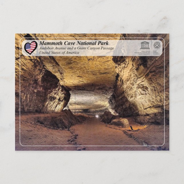 Carte Postale UNESCO WHS - Parc national de Mammoth Cave (Devant)