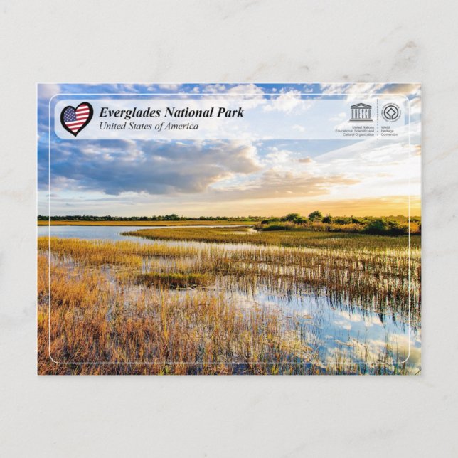 Carte Postale UNESCO WHS - Parc national des Everglades (Devant)