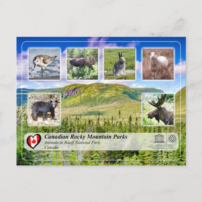 Carte Postale UNESCO WHS - Parc national du Gros Morne (Devant)