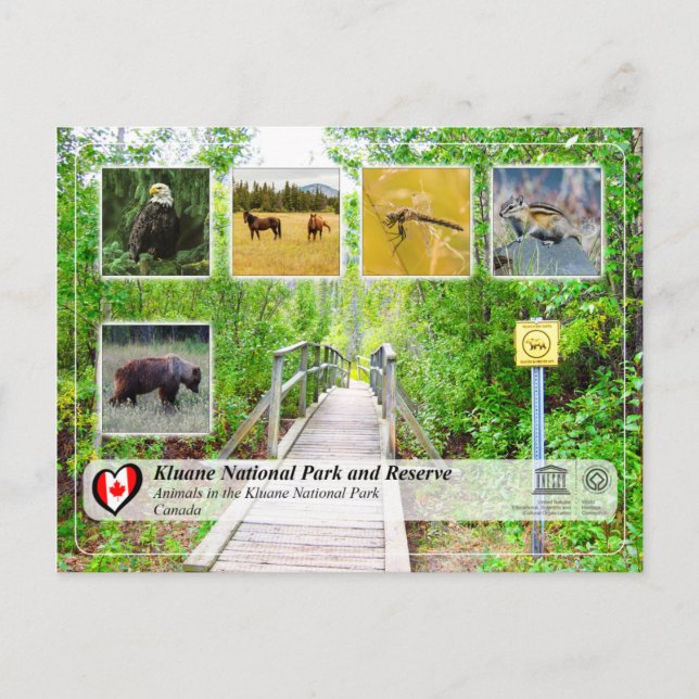 Carte Postale UNESCO WHS - Parc national et réserve de Kluane (Devant)