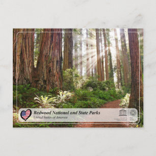Carte Postale UNESCO WHS - Redwood National and State Parks