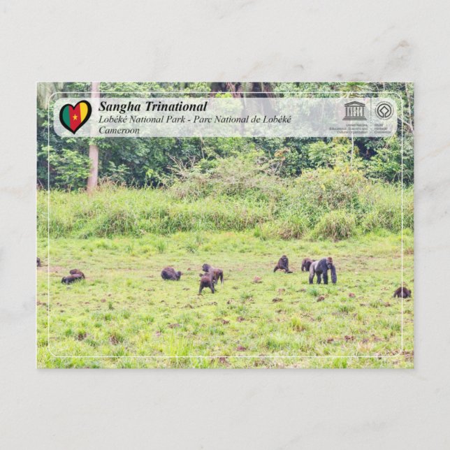 Carte Postale UNESCO WHS - Sangha Trinational - Lobéké (Devant)
