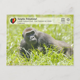 Carte Postale UNESCO WHS - Sangha Trinational - Lobéké