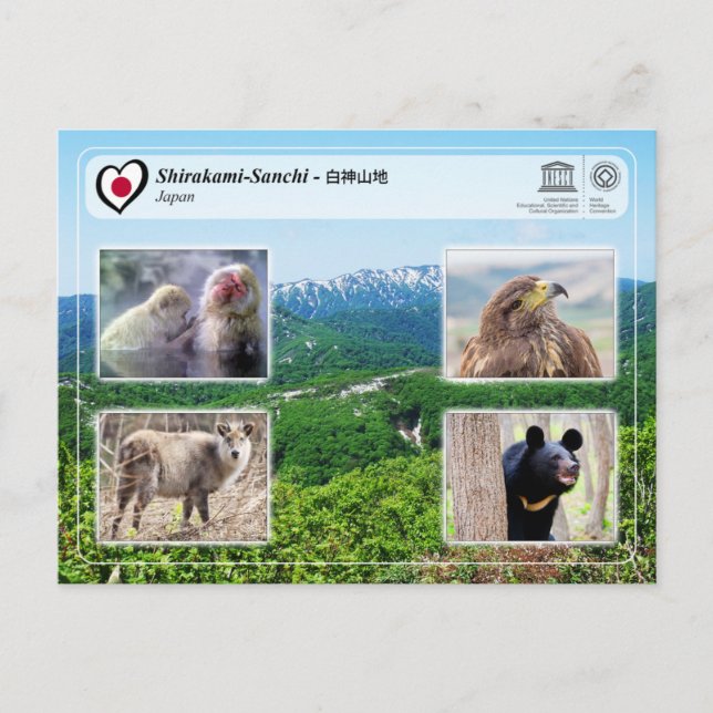 Carte Postale UNESCO WHS - Shirakami-Sanchi - 白 - 神 山 地 (Devant)
