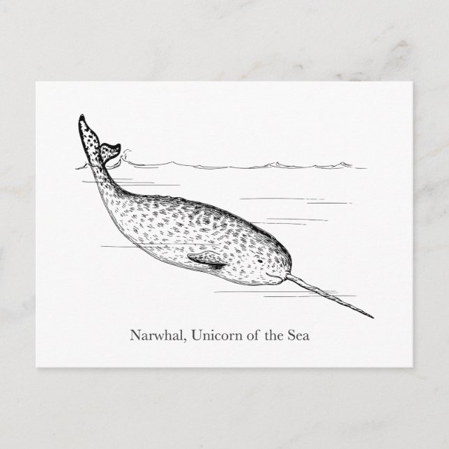 Carte Postale Unicorne de baleine de Narwhal de la mer (Devant)