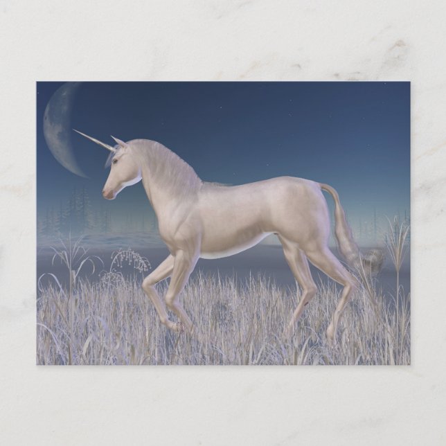 Carte Postale Unicorne d'hiver - course (Devant)
