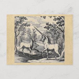 Carte Postale Unicorne et Stag