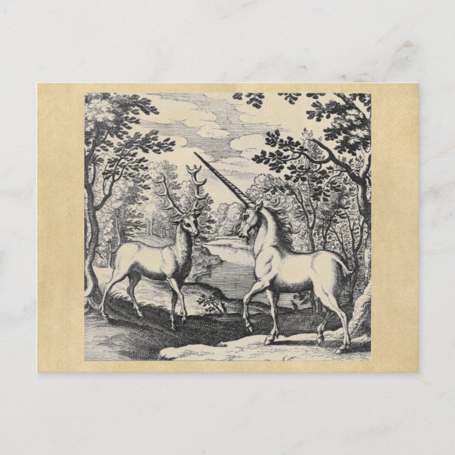 Carte Postale Unicorne et Stag (Devant)