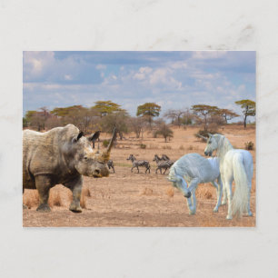 Carte Postale Unicorns Cubby Rhino Rhinoceros Afrique