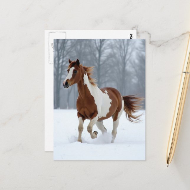Carte Postale Unique Winter Paint Horse (Devant/Arrière en situation)