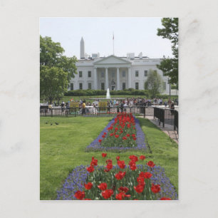 Carte Postale United States, Washington, D.C. The North side