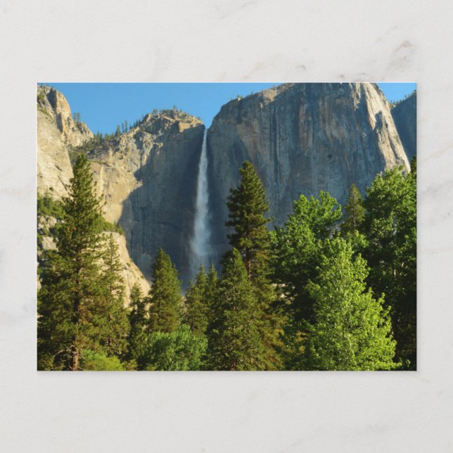 Carte Postale Upper Yosemite Falls, Merced River, Yosemite (Devant)