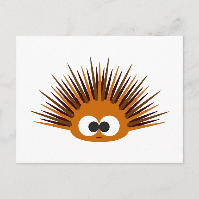Carte Postale Urchin Mer Orange (Devant)